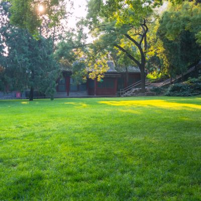 Summer lawn at sunset