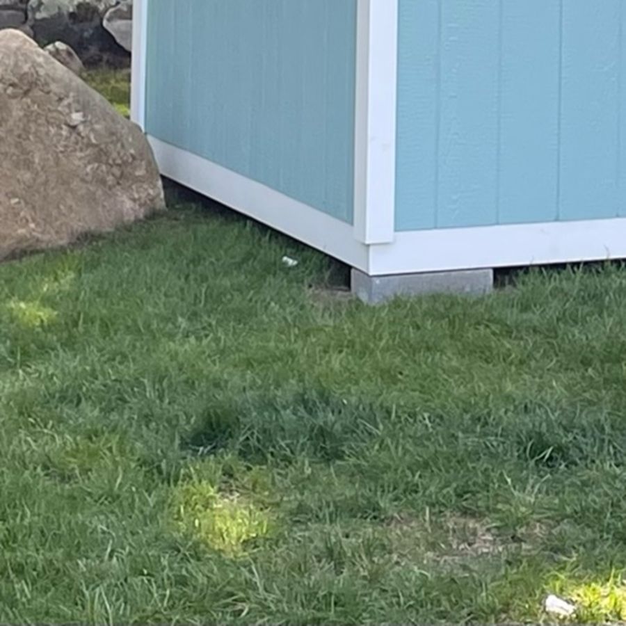 ri shed options & additions